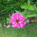 날마다잔치 이미지