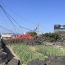 너와랑2층집 이미지