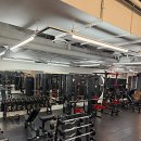 이젠피티 이미지