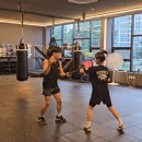 골든 핏 복싱짐 이미지