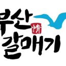 양산갈매기