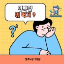 밀라노짐 구성점 이미지
