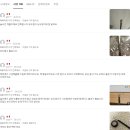 균일광고 | 맥 217 블렌딩 브러시 광고 아닌 실제 후기들 찾아보기