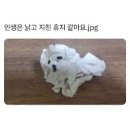타미힐피거롯데아울렛