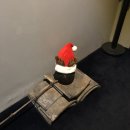 모리도중 이미지