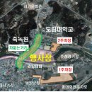 담양대나무축제 이미지