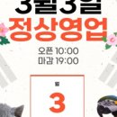 평택애니멀클럽 이미지