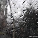 대한민국고엽제전우회 양주시지회 이미지