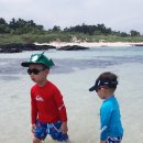 (주)제윤 이미지