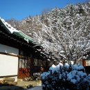 화정한옥민박 이미지