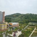 동만 2 이미지