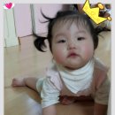 요미야 놀자 이미지