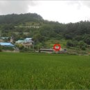 안성면100 이미지