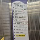 회원동118 | 고민 끝에 찍은 프로필 사진이 나의 인생 사진이 되었다 마산_피치스페이스