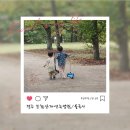 토함산자연휴양림 | 경주여행 갔다가 토함산 자연휴양림