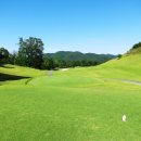 스타골프 이미지