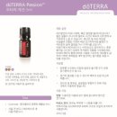 도테라 이미지