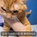 초야다방