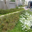 고덕금호공인중개사사무소 이미지