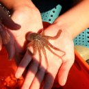 연포펜션 이미지