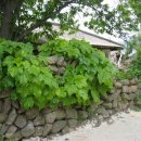 시정마을회관 이미지