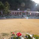 원량초연화분교 이미지