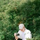 송당 온도 이미지