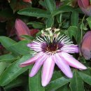 항아리민박 이미지