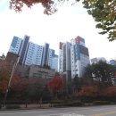 새과천공인중개사사무소 이미지