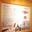 명성참치 이미지