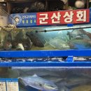 노량진 언니들 | 노량진 수산시장 대방어 모둠회 '군산 상회' 후기