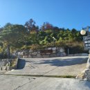 ELparaiso365(엘파라이소365) 이미지