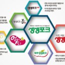 팜 스토리 이미지