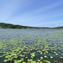 보통리 저수지 1 이미지