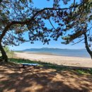 장선포1 이미지