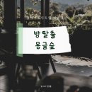몽글 | 해운대 방탈출 플레이포인트랩 몽글숲(문제방) 탈출 후기