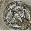 삼인낚시터 이미지