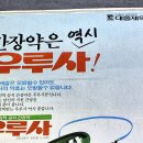 호돌이광고