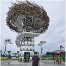 곡성-271 이미지