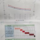세하헬스 | 영유아 사두증 단두증 두상교정헬맷 4개월 착용 후기(천안 하니헬맷, 추천인 1명 가능)