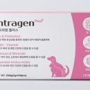 인트라젠 이미지