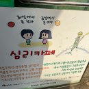 홍대심리카페 : 심리학박사의 심리 상담, 홍대데이트 이색카페 찾는다면 “심리카페점컴”