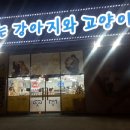 장보는 강아지와 고양이 이미지