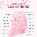 ◈벚꽃 개화시기 총정리 벚꽃의명소◈2025.03.23. 이미지