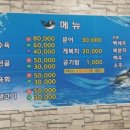 영일만밍크고래 이미지