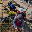 강변길 북천 이미지