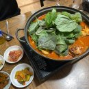 이모네닭볶음탕 | 합정 노포 맛집 추천! 닭볶음탕이 맛있는 이모네 후기