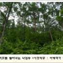 태백문화매점