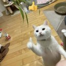 광대정천 | 그대는 나의 여름이 되세요