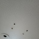 사임당로10길 39 (3) | 천장구멍 원상복구비용